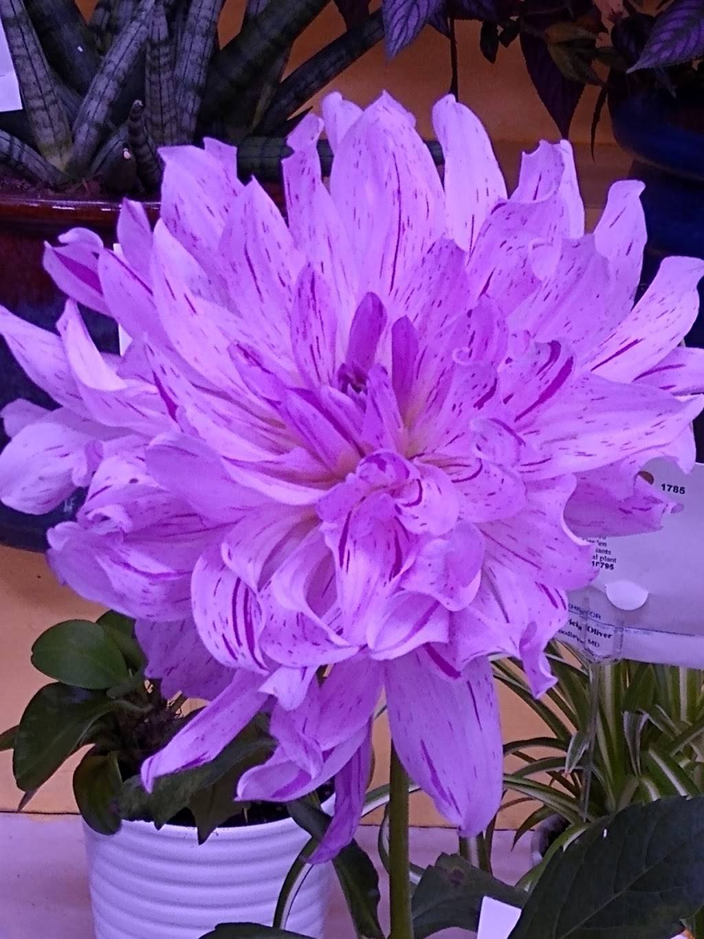 Spring Grove Hospital Center Maryland Psychiatric Research 55 Wade