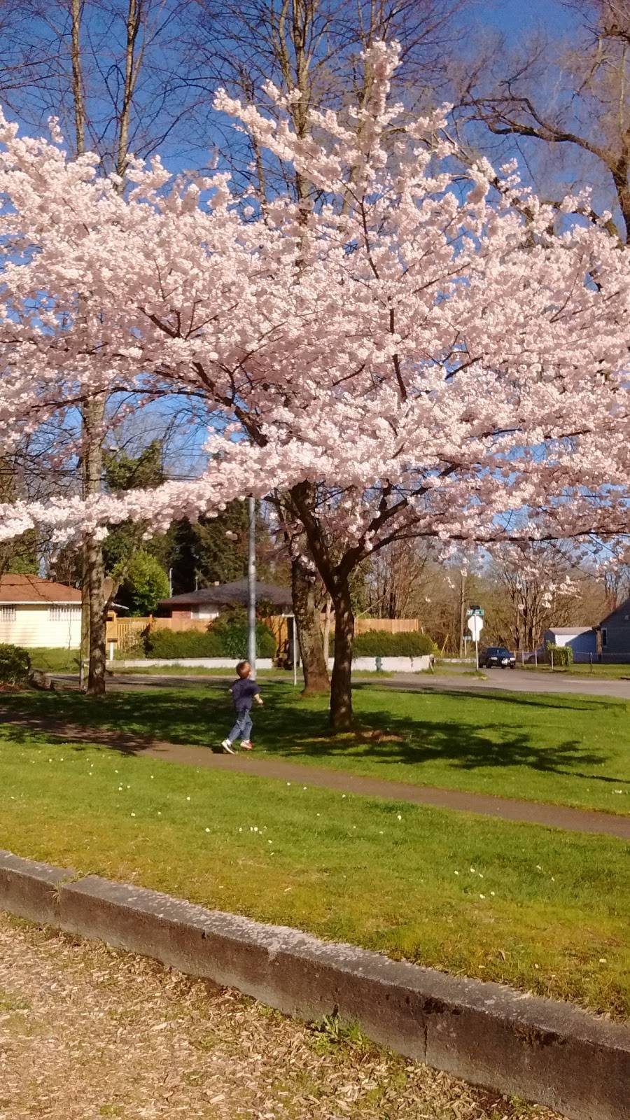 Benefit Playground | 9320 38th Ave S, Seattle, WA 98118, USA | Phone: (206) 684-4075