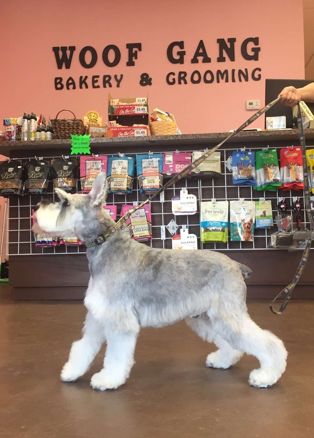 Woof Gang Bakery & Grooming Ashburn | 22556 Amendola Terrace Suite 100, Ashburn, VA 20148, USA | Phone: (703) 729-4900