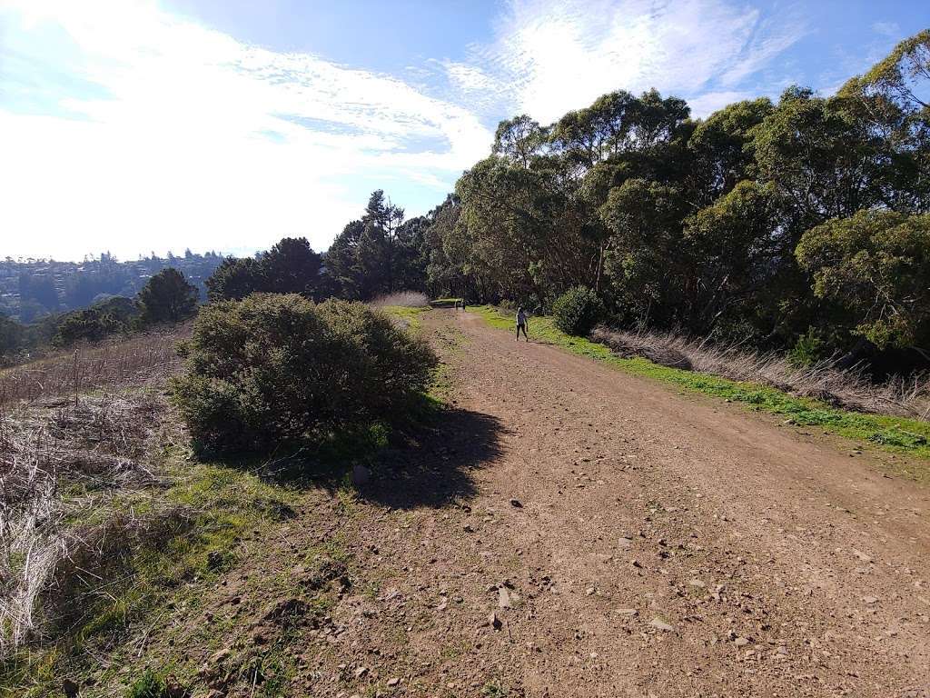 Big springs trailhead | S Park Dr, Orinda, CA 94563, USA