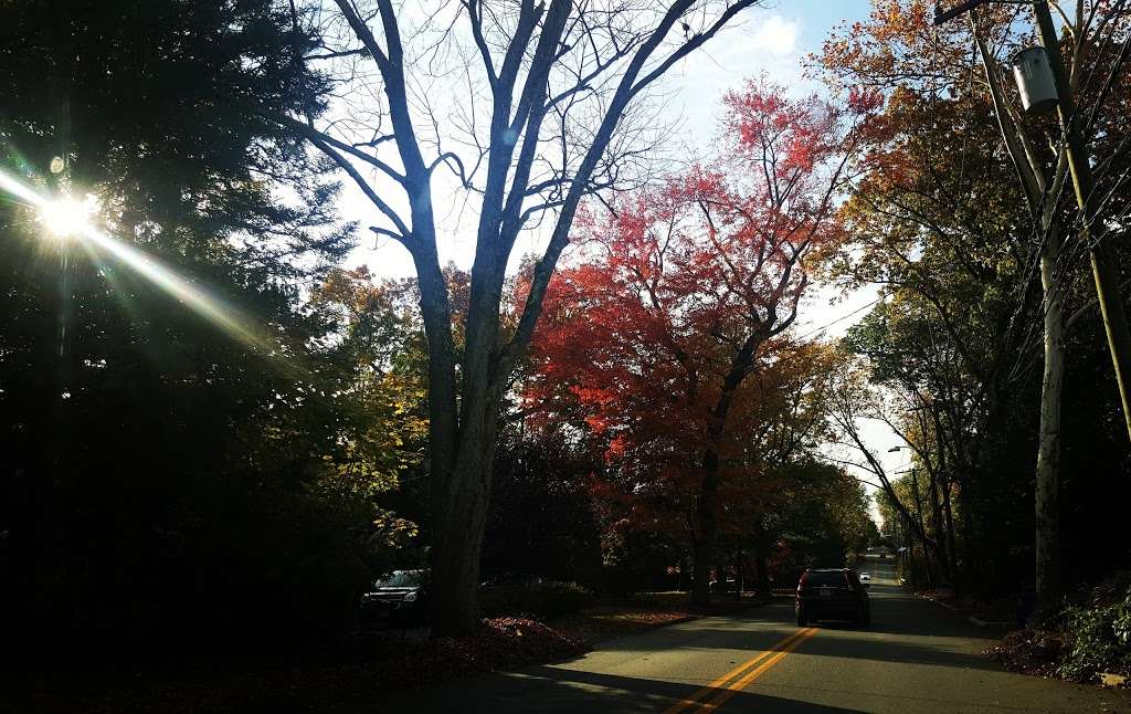 Oradell | Oradell, NJ 07649, USA