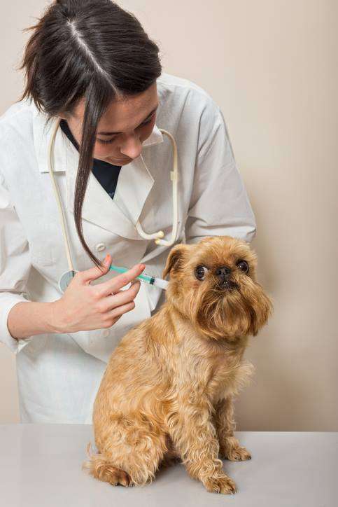 Spencer Animal Hospital | 7022 Spencer Hwy, Pasadena, TX 77505, USA | Phone: (281) 476-0066