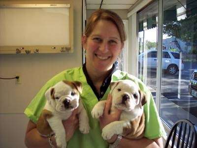 Martin City Animal Hospital | 13441 Cherry St, Kansas City, MO 64145, USA | Phone: (816) 941-0070