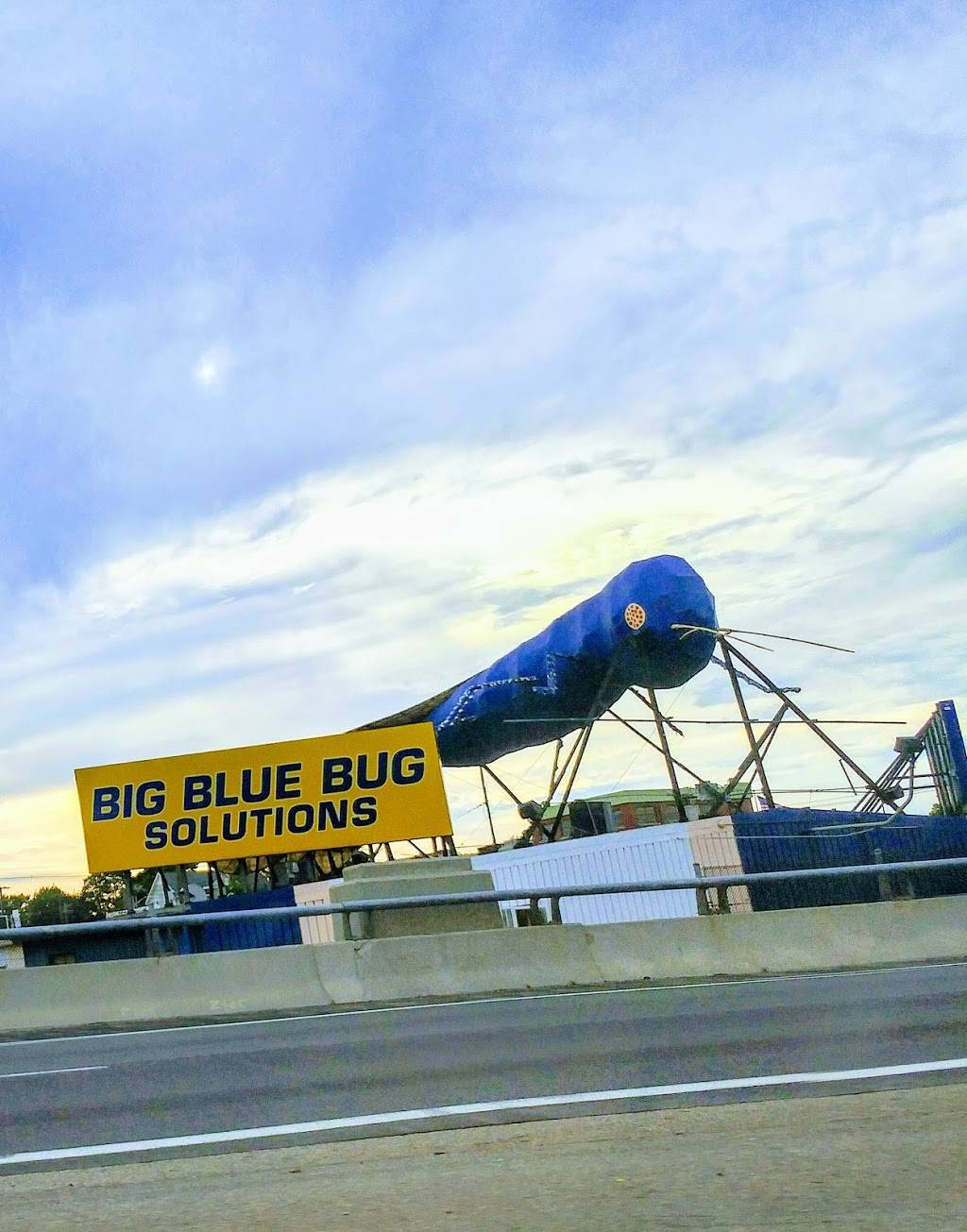 Big Blue Bug Solutions | 161 OConnell St, Providence, RI 02905 | Phone: (401) 941-5700