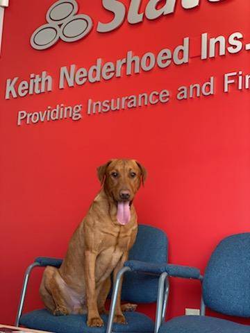 Keith Nederhoed - State Farm Insurance Agent | 1008 County Rd 42 E, Burnsville, MN 55337, USA | Phone: (952) 894-6404