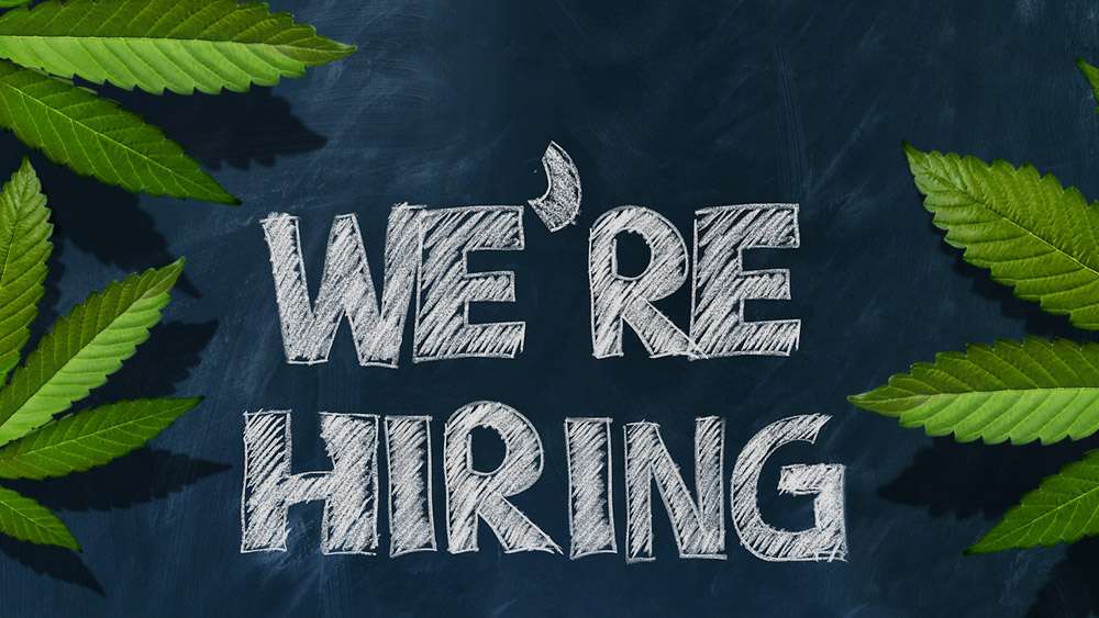 "DraCUT Vape" | Dracut, MA 01826, USA