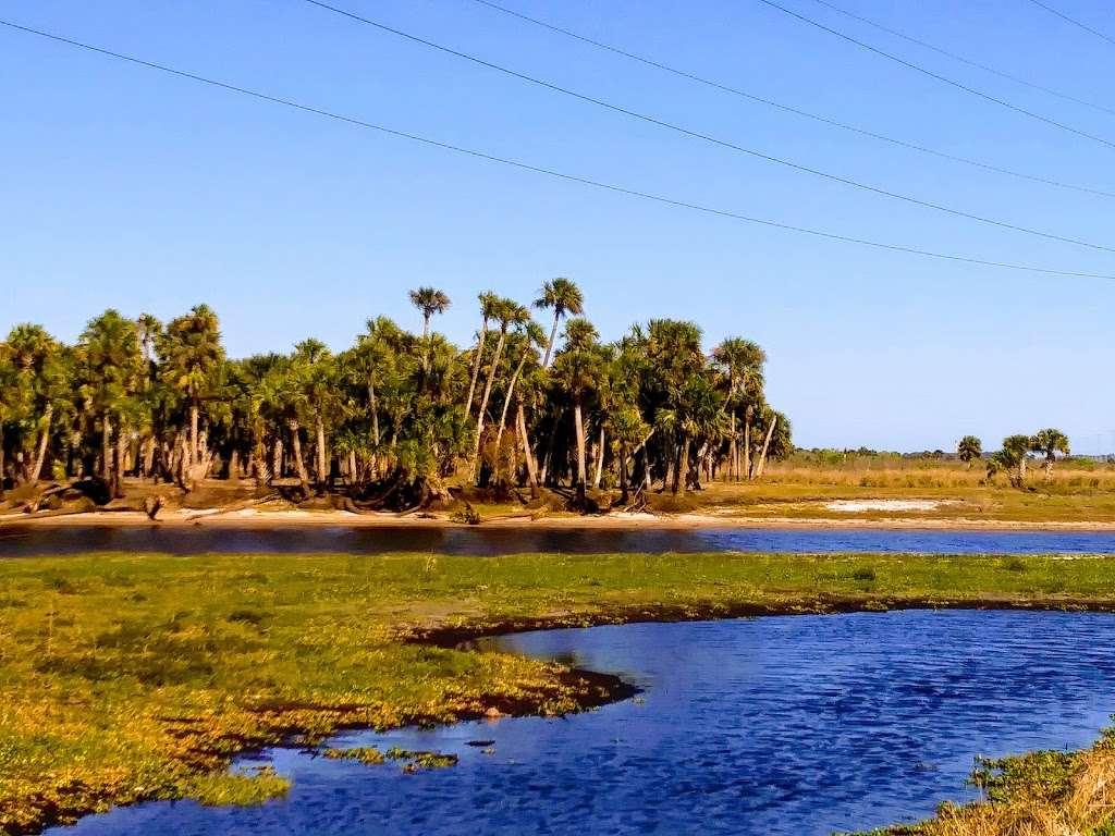 Tosohatchee Wildlife Management Area | 3365 Taylor Creek Rd, Christmas, FL 32709, USA | Phone: (352) 732-1225