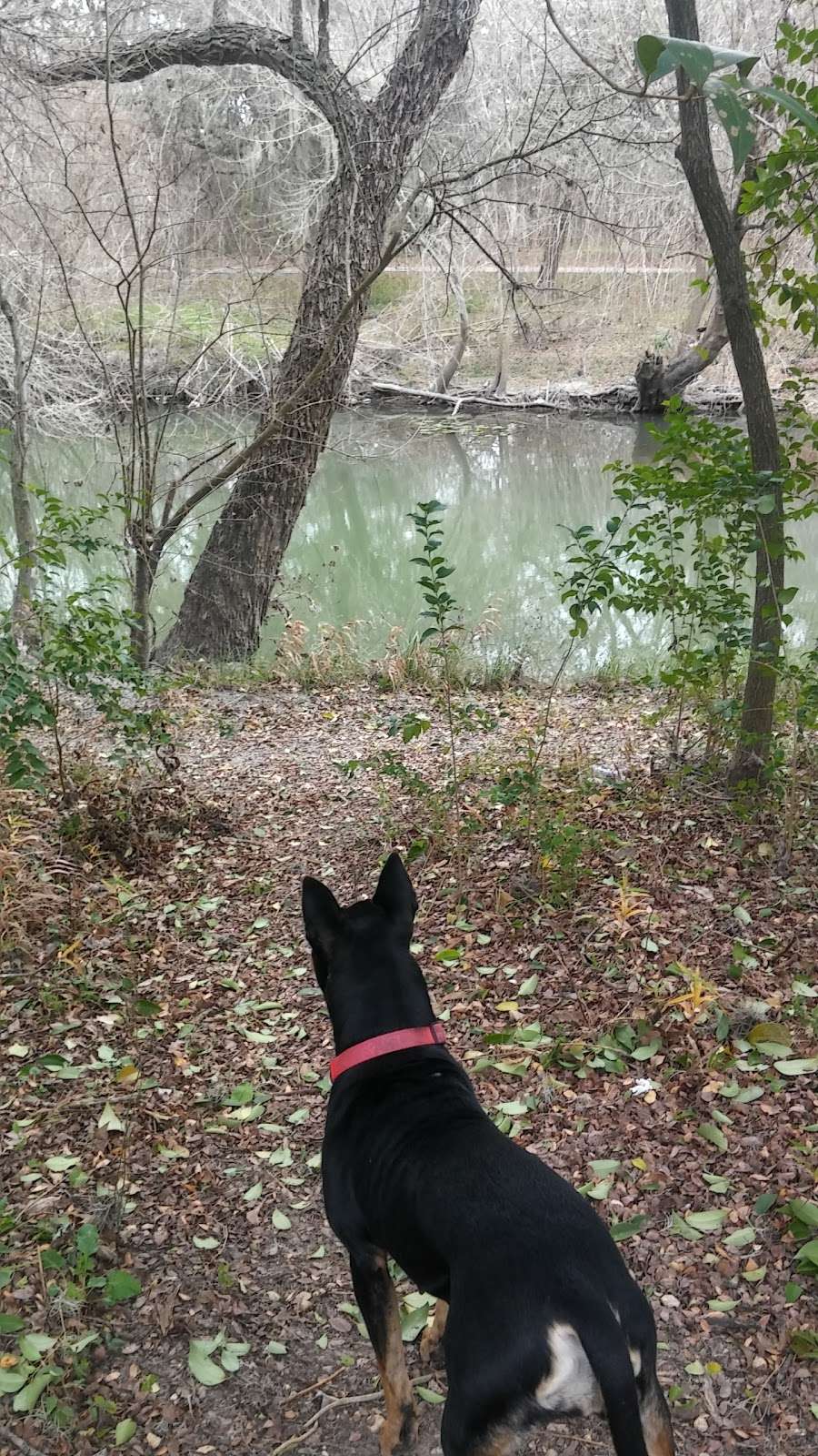 Salado Creek Greenway | San Antonio, TX 78222, USA | Phone: (210) 207-3000