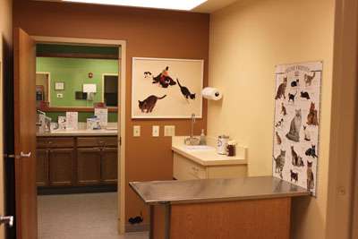 Fox Valley Veterinary Clinic | 405 Oak St, North Aurora, IL 60542, USA | Phone: (630) 896-6664