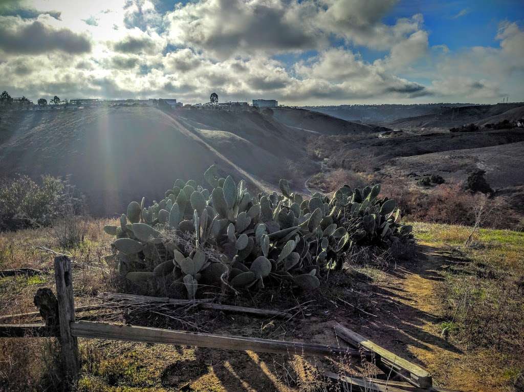 Lopez Canyon Trail | San Diego, CA 92121, USA