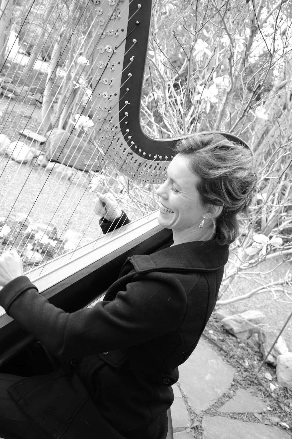 Colorado Harpist Erin Newton | 8341 Coors St, Arvada, CO 80005, USA | Phone: (303) 253-5090