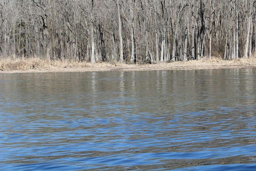 Phillips Landing Park | Laurel, Laurel, DE 19956, USA