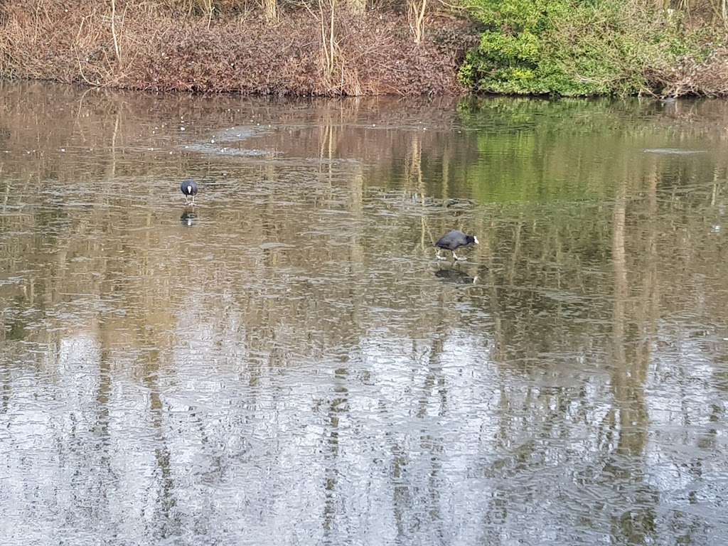 Tooting Bec Common | 45 Tooting Bec Gardens, London SW16 1RF, UK