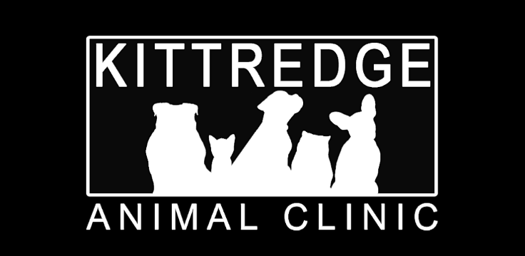 Kittredge Animal Clinic | 26390 CO-74, Kittredge, CO 80457 | Phone: (303) 674-6773