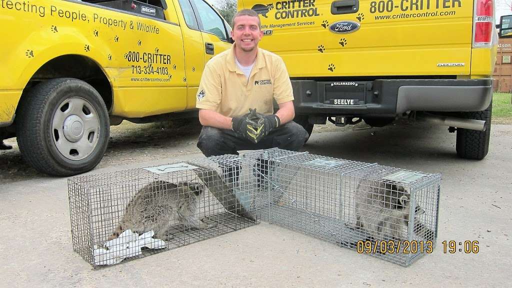 Critter Control | 9103 Emmott Rd, Houston, TX 77040, USA | Phone: (713) 334-4103