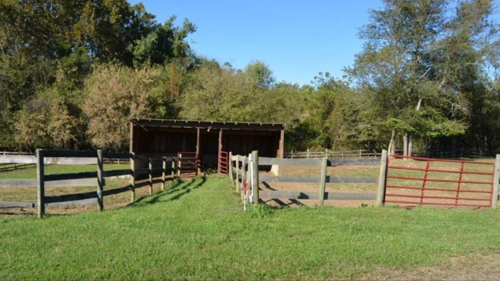 Canter Point Stables | 411 Brannon Lane, Charles Town, WV 25414 | Phone: (304) 885-8553