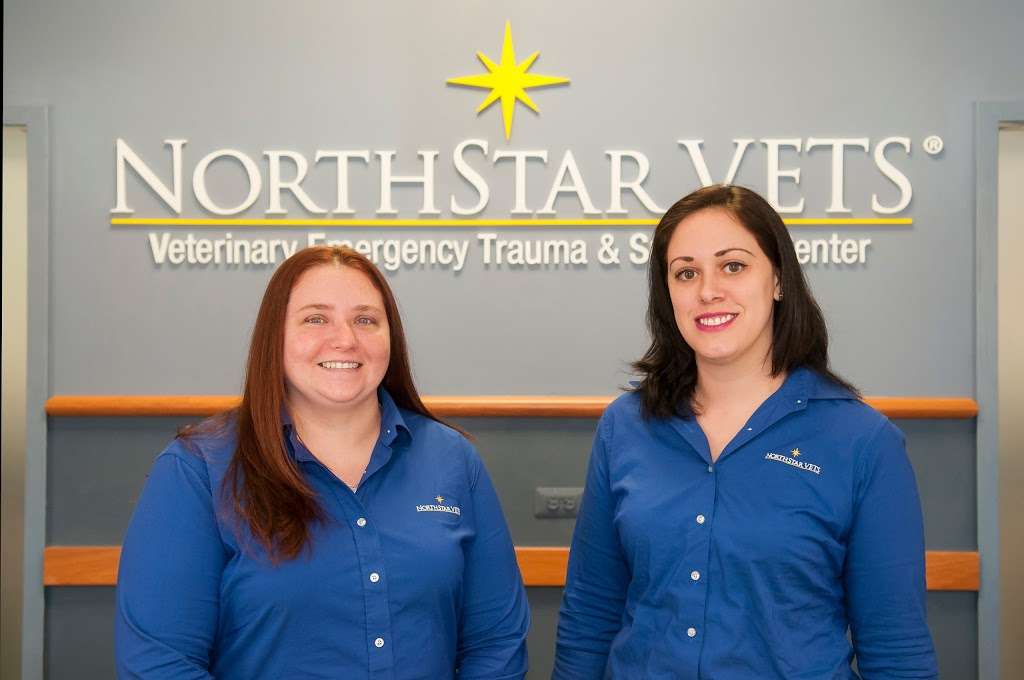 NorthStar VETS | 2834 NJ-73, Maple Shade Township, NJ 08052, USA | Phone: (609) 259-8300