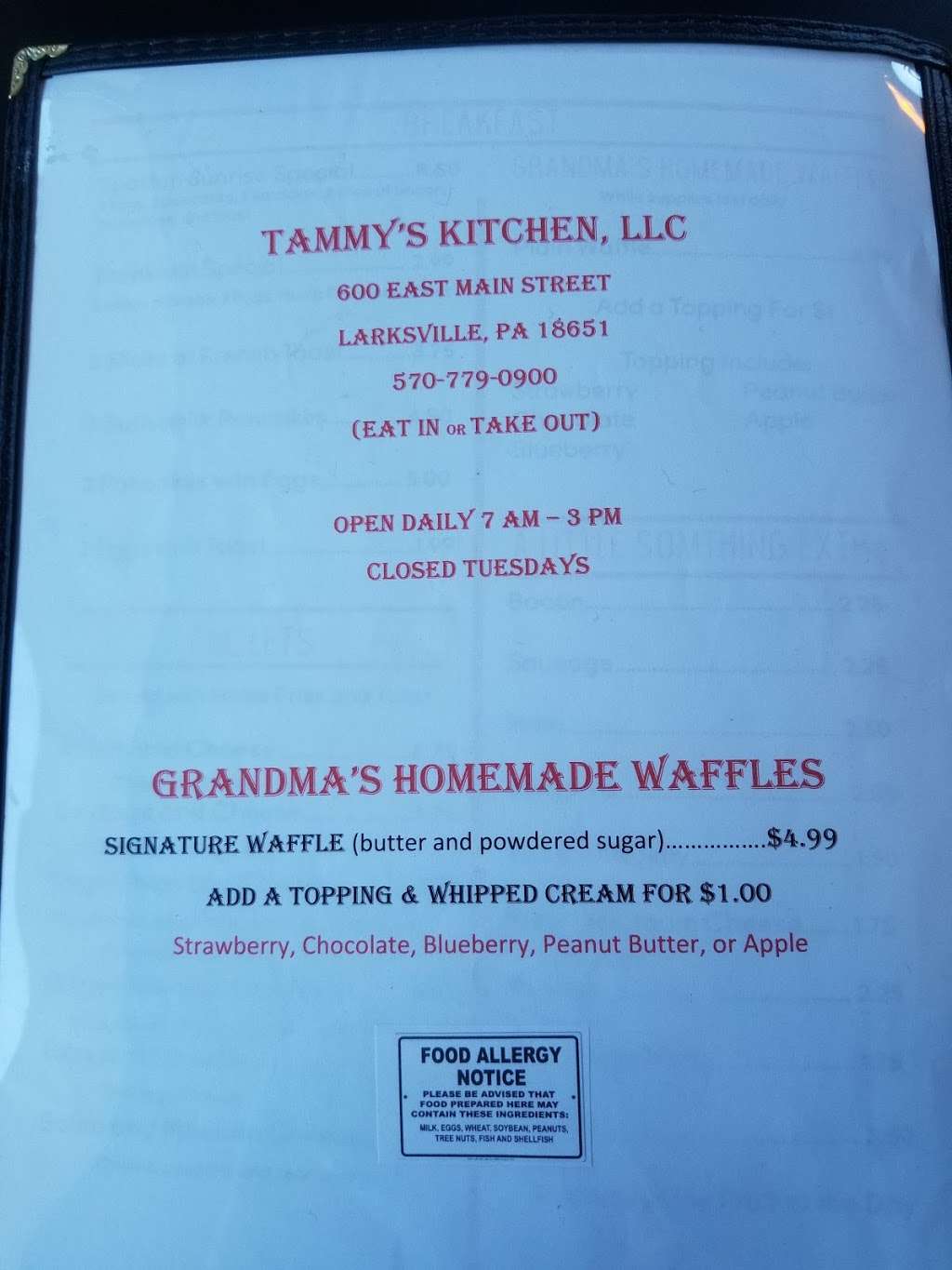Tammys Kitchen | 600 E Main St, Larksville, PA 18651, USA | Phone: (570) 779-0900
