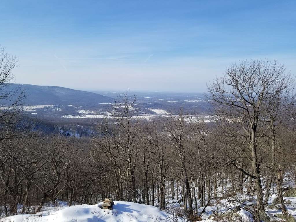 Black Rock Forest - Northern Loop Trailhead | 62 Mine Hill Rd, Cornwall, NY 12518, USA