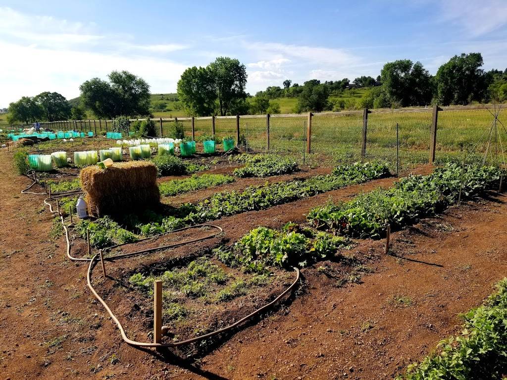 Charmaine Nymann Community Garden at Bear Creek Regional Park | Creek Crossing St, Colorado Springs, CO 80905 | Phone: (719) 634-4433