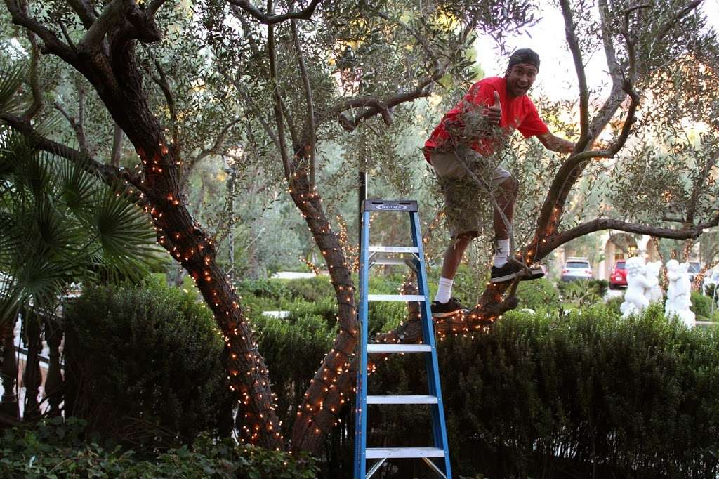 Christmas Light Installation Pros | 28163 Lookout Point Ln, Menifee, CA 92585, USA | Phone: (951) 402-2000