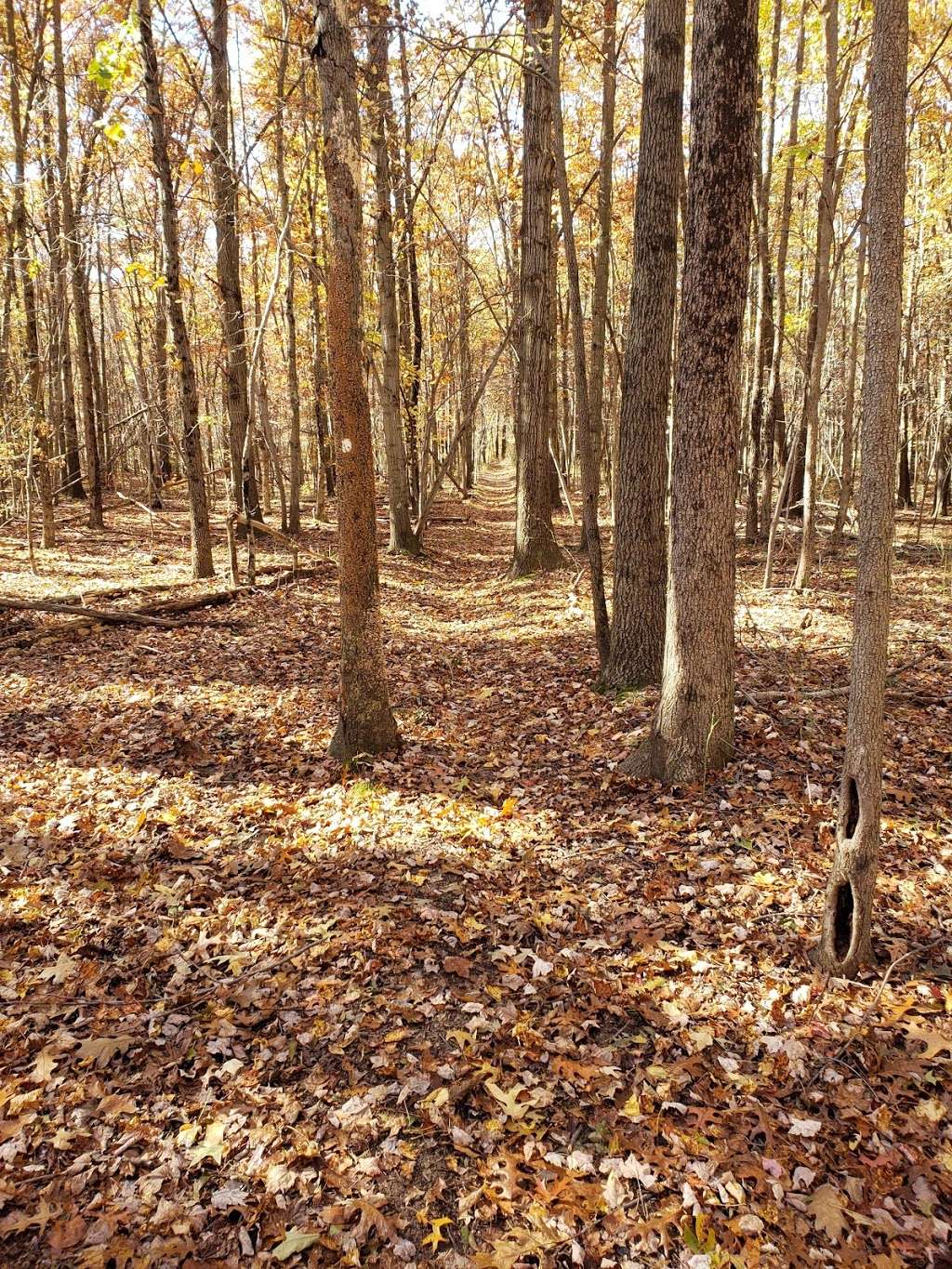 Old Bridge County Park | Pleasant Valley Rd, Old Bridge, NJ 08857, USA