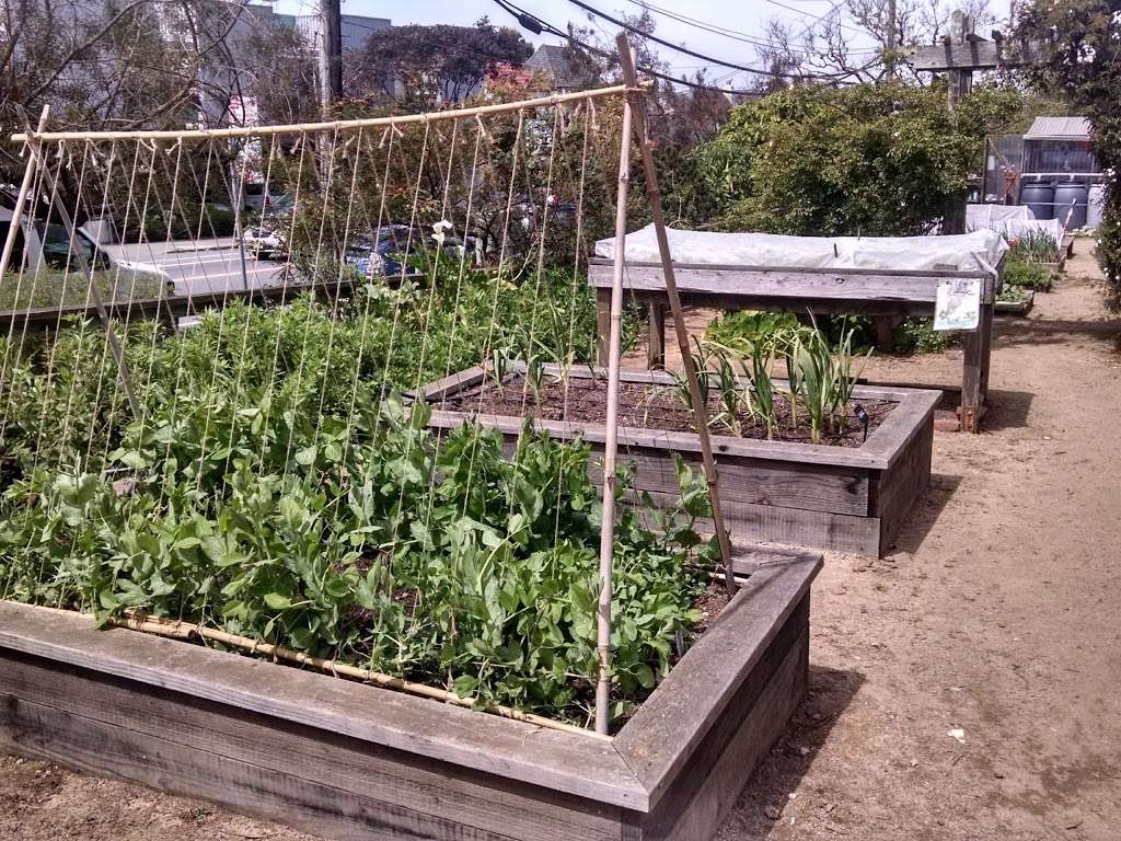 Garden for the Environment | 1590 7th Ave, San Francisco, CA 94122, USA | Phone: (415) 558-8246