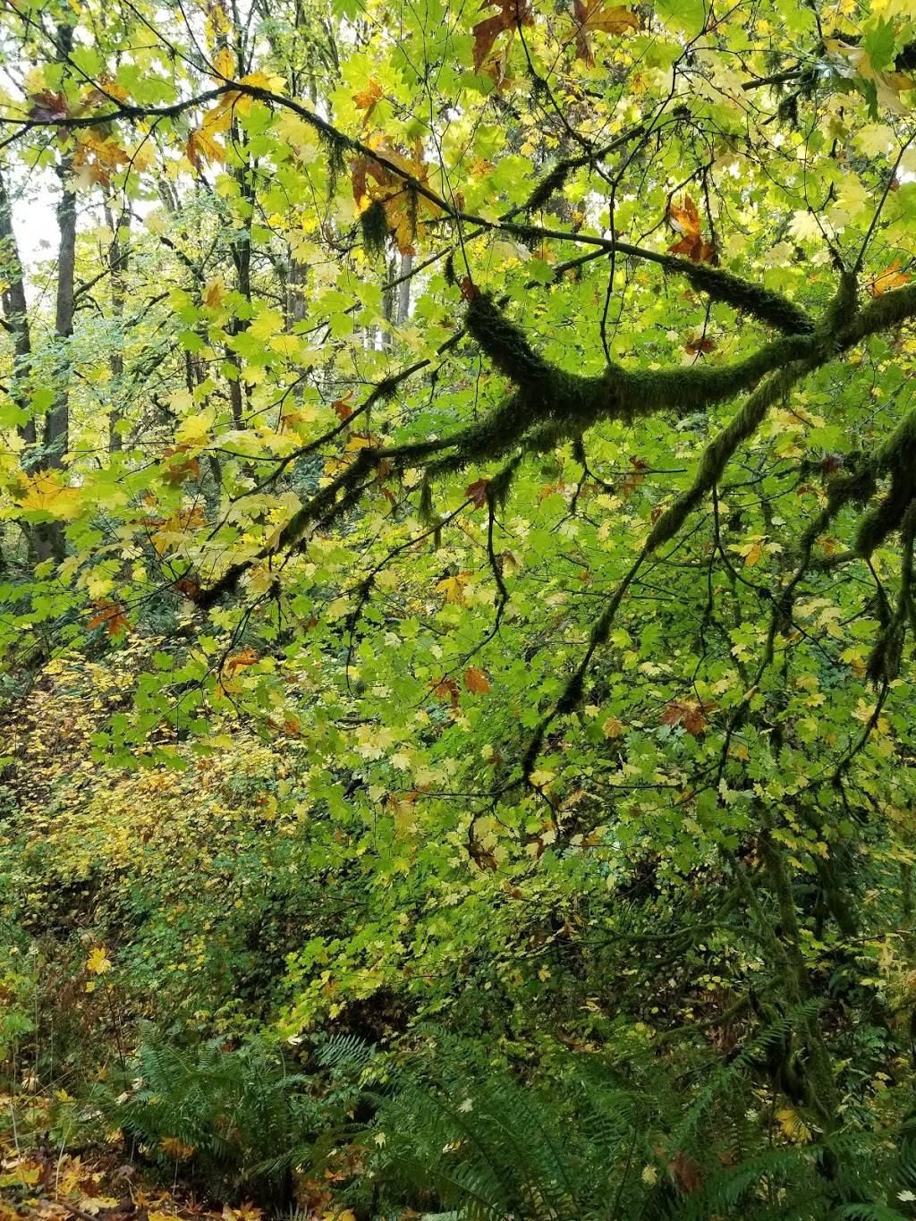 NW 53rd Dr trailhead | 2999 NW 53rd Dr, Portland, OR 97210, USA | Phone: (503) 223-5449