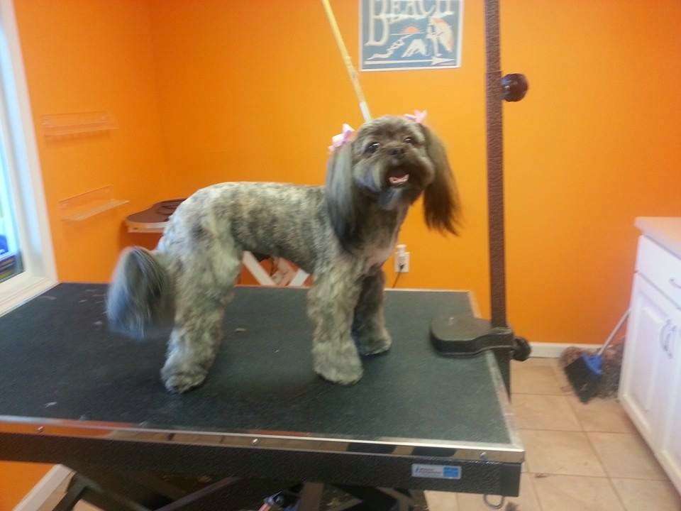 Waggn Tails Day Spa | 15630 Pinehurst Dr #1, Basehor, KS 66007, USA | Phone: (913) 724-3700