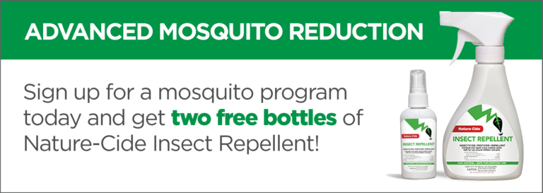 Buggify Pest Solutions | 22617 Middletown Dr, Boca Raton, FL 33428 | Phone: (561) 672-0200