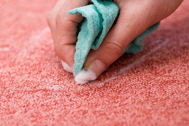 DHM Carpets and Rugs Care | 180 Boston Providence Hwy, Dedham, MA 02026, USA | Phone: (781) 410-4334