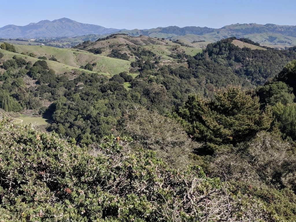 Huckleberry Botanic Regional Preserve | 7087 Skyline Blvd, Oakland, CA 94611, USA | Phone: (888) 327-2757