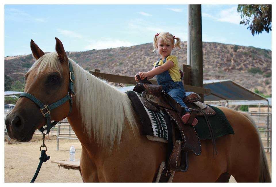 San Diego Beach Rides, Horse Rentals & Wagon Rides | 2606 Hollister St, San Diego, CA 92154, USA | Phone: (619) 947-3152