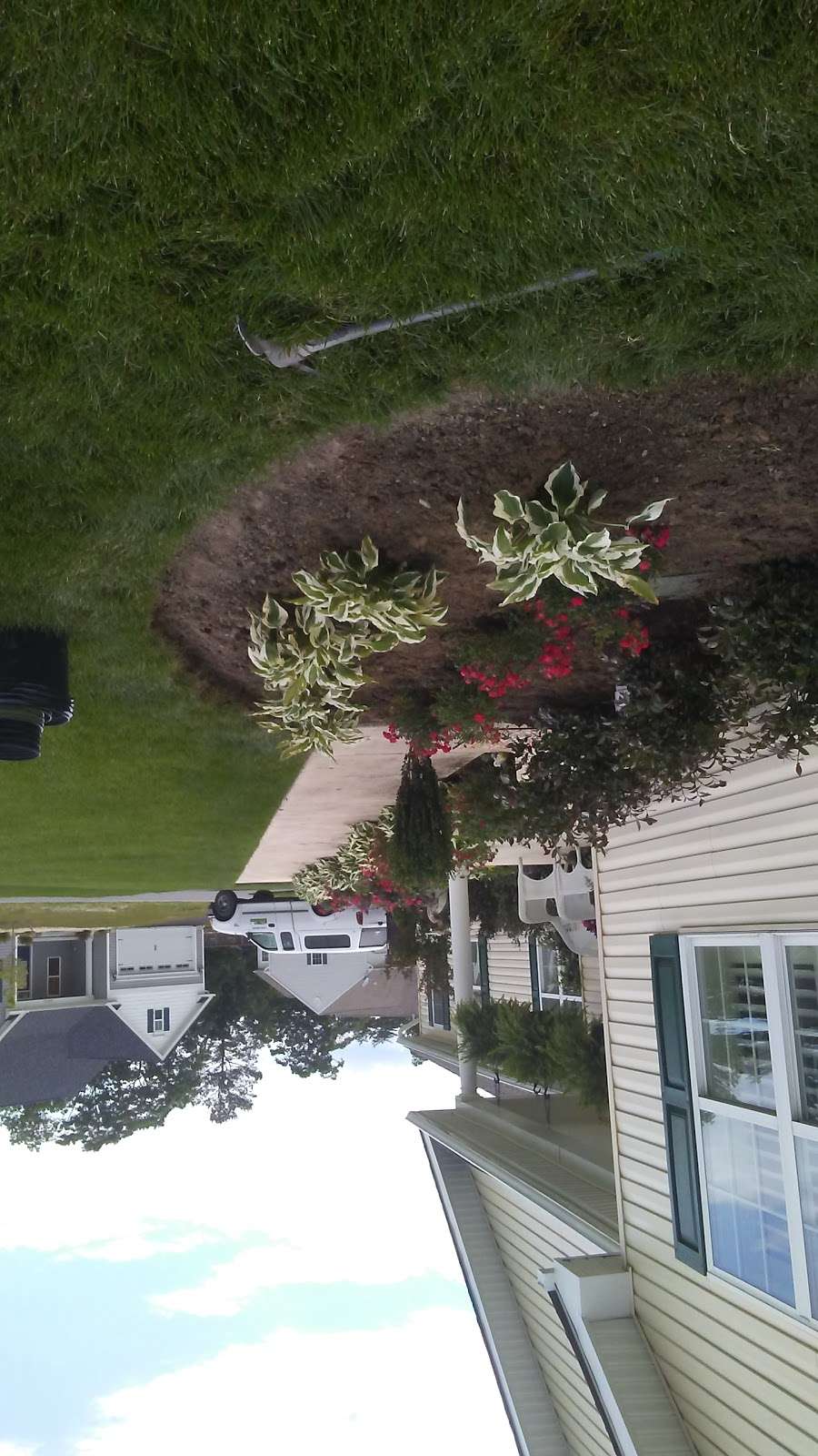 Dollys Pet Sitting Services | 21110 Emerald Isle Dr, Lewes, DE 19958, USA | Phone: (302) 604-8573