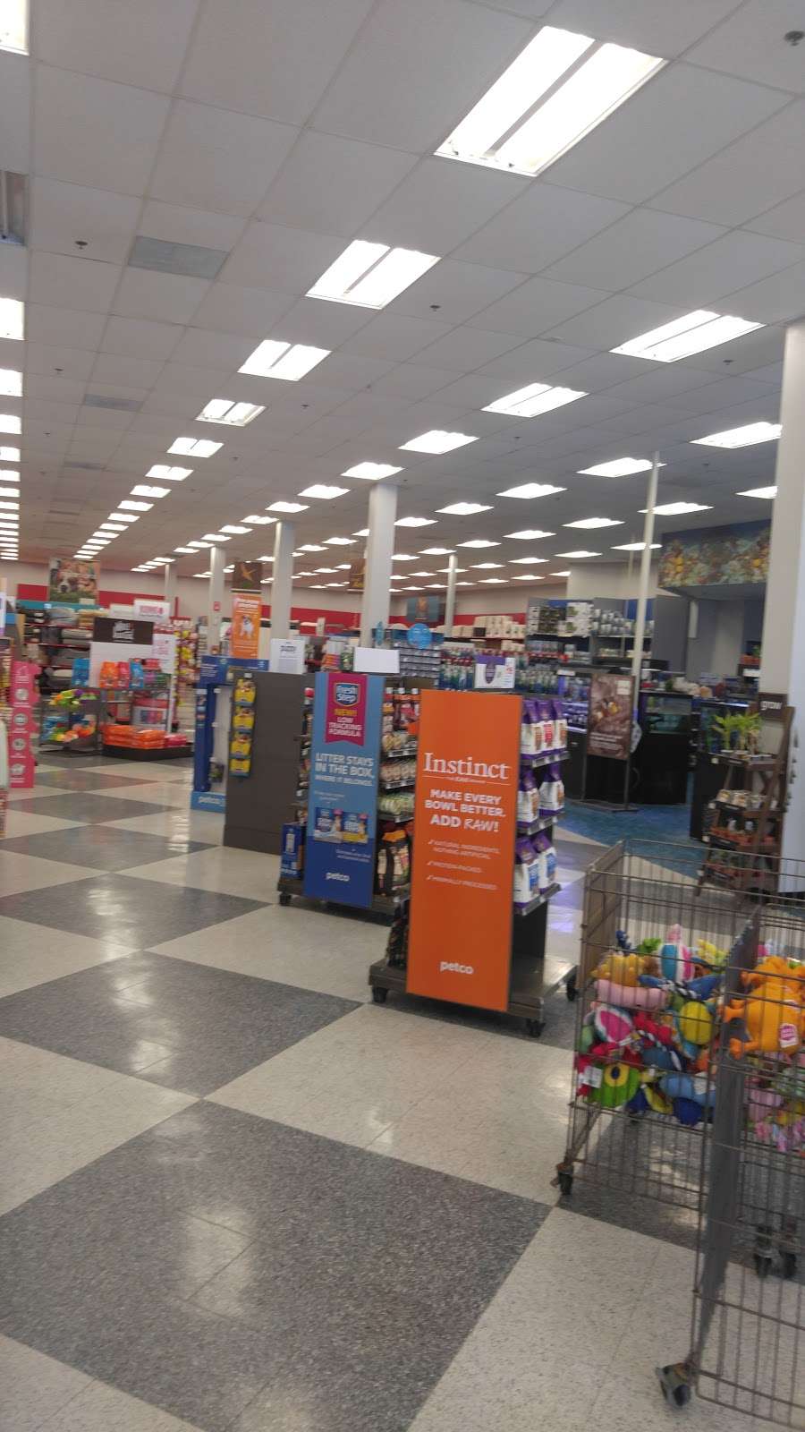 Petco Animal Supplies | 3300 Lehigh St, Allentown, PA 18103, USA | Phone: (610) 797-4656