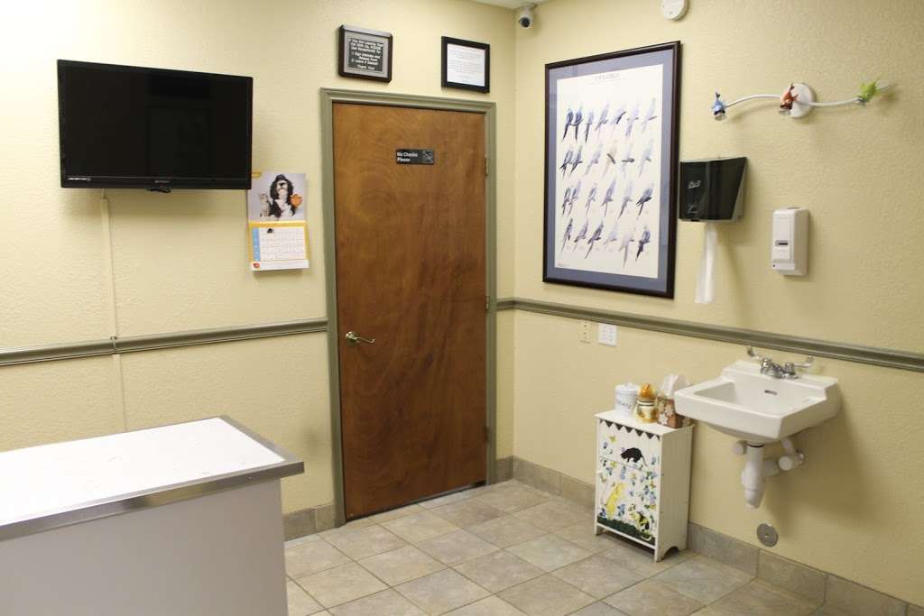 Animal Kingdom Pet Hospital | 551 W League City Pkwy, League City, TX 77573, USA | Phone: (281) 554-7200