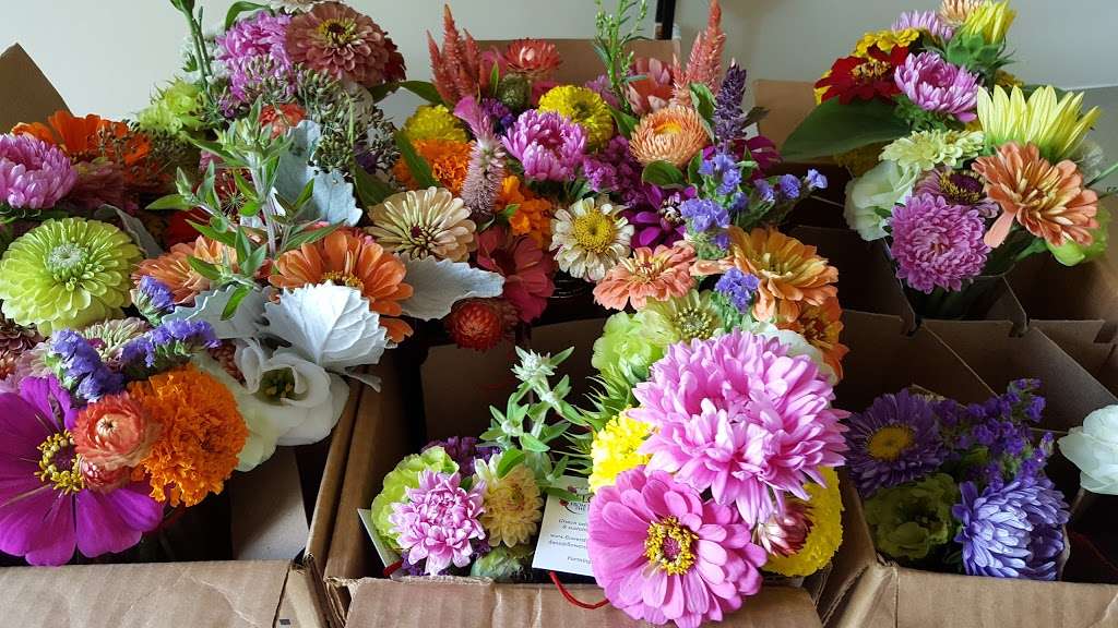 Flowers From the Farm, NJ | 318 Adelphia Rd, Farmingdale, NJ 07727, USA | Phone: (732) 740-9927