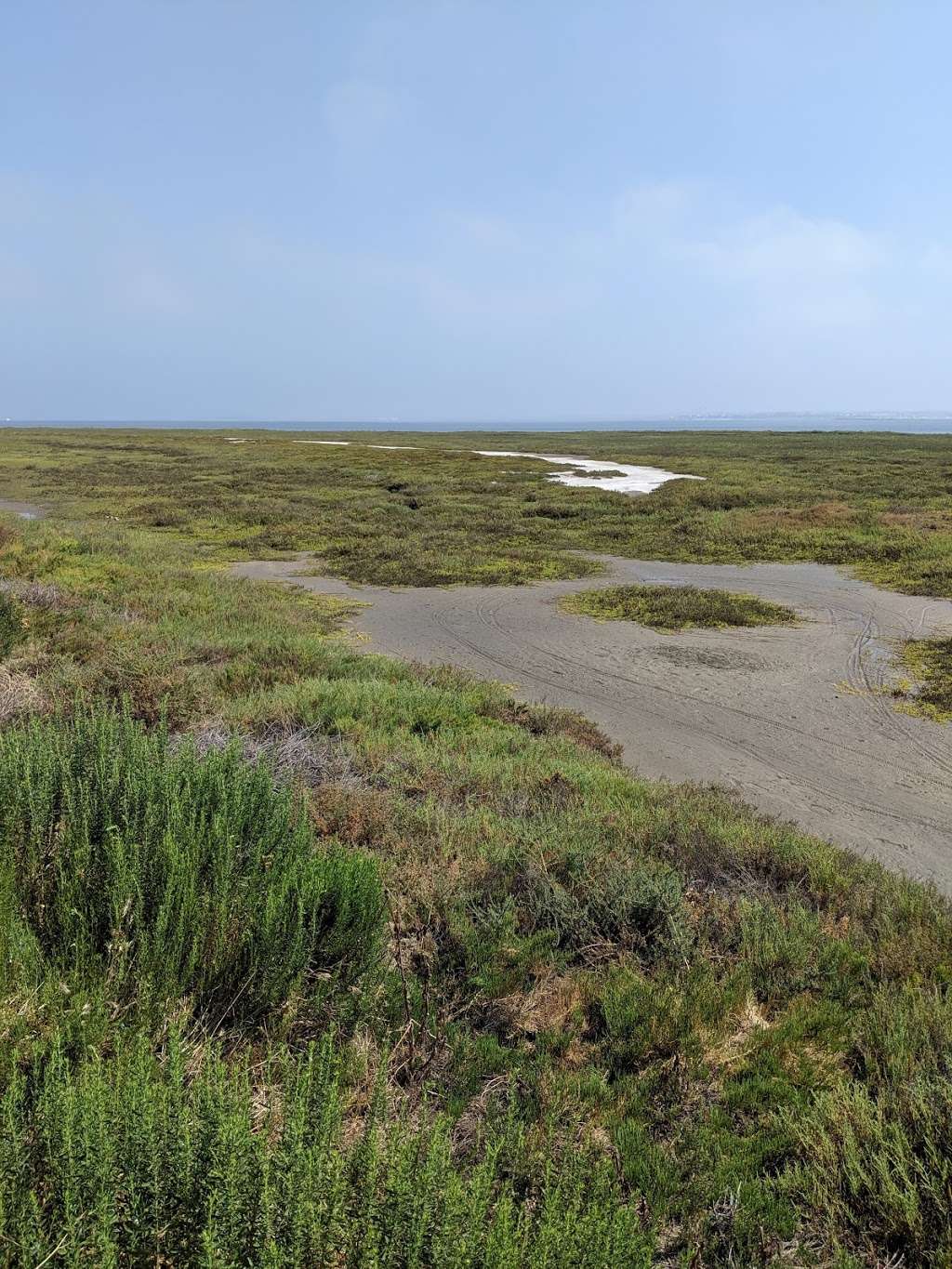 San Diego Bay National Wildlife Refuge | 6010 Hidden Valley Rd, Chula Vista, CA 91910, USA | Phone: (619) 476-9150