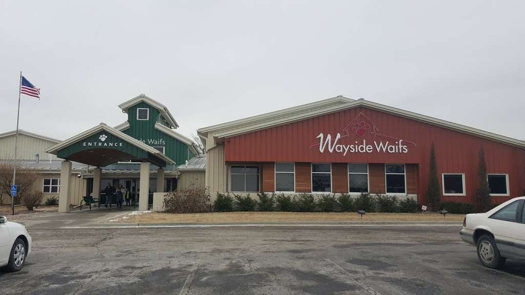 Wayside Waifs | 3901 Martha Truman Rd, Kansas City, MO 64137 | Phone: (816) 761-8151