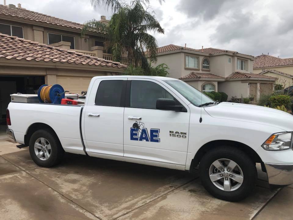 Eastern Arizona Exterminating | 49 S Sycamore #5, Mesa, AZ 85202, USA | Phone: (480) 593-5005