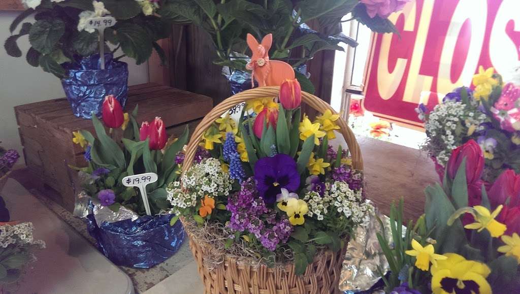 Garden Road Greenhouse | 402 Garden Rd, Elmer, NJ 08318, USA | Phone: (856) 358-3032
