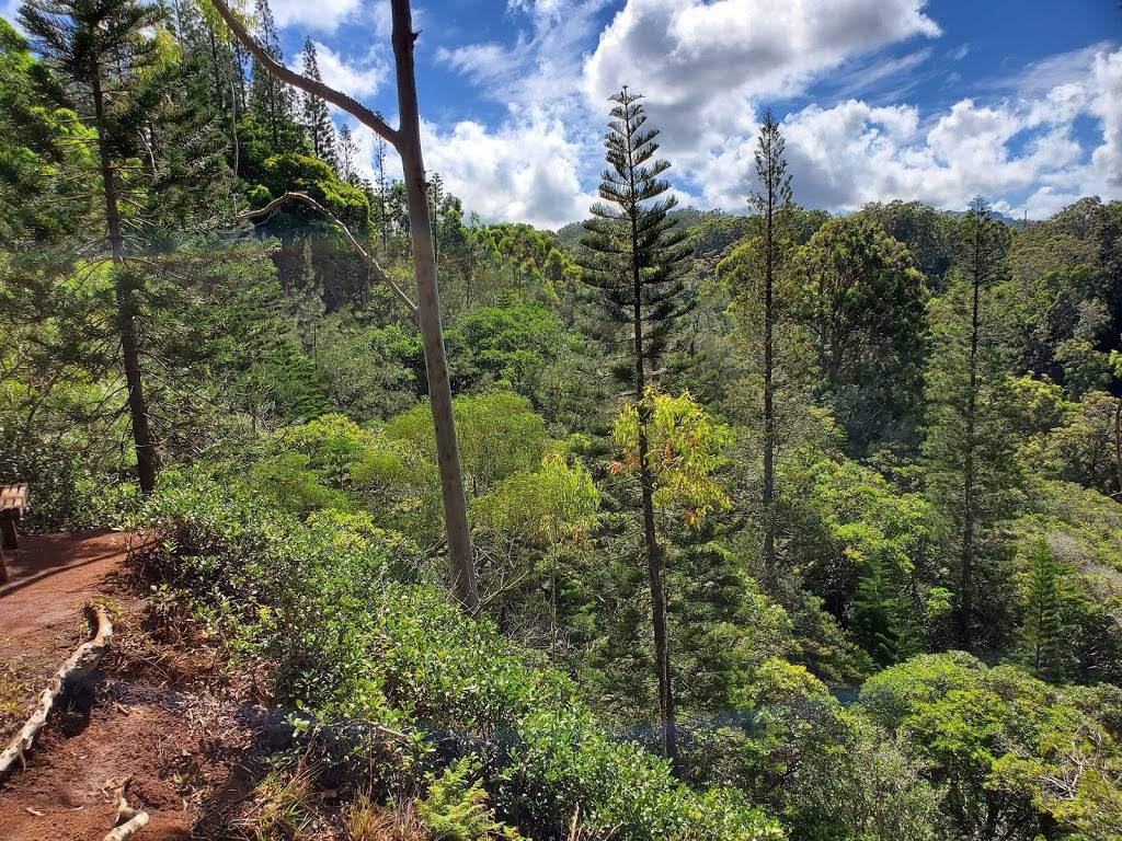 Keaīwa Heiau State Recreation Area | 99-1849 Aiea Heights Dr, Aiea, HI 96701, USA | Phone: (808) 483-2511