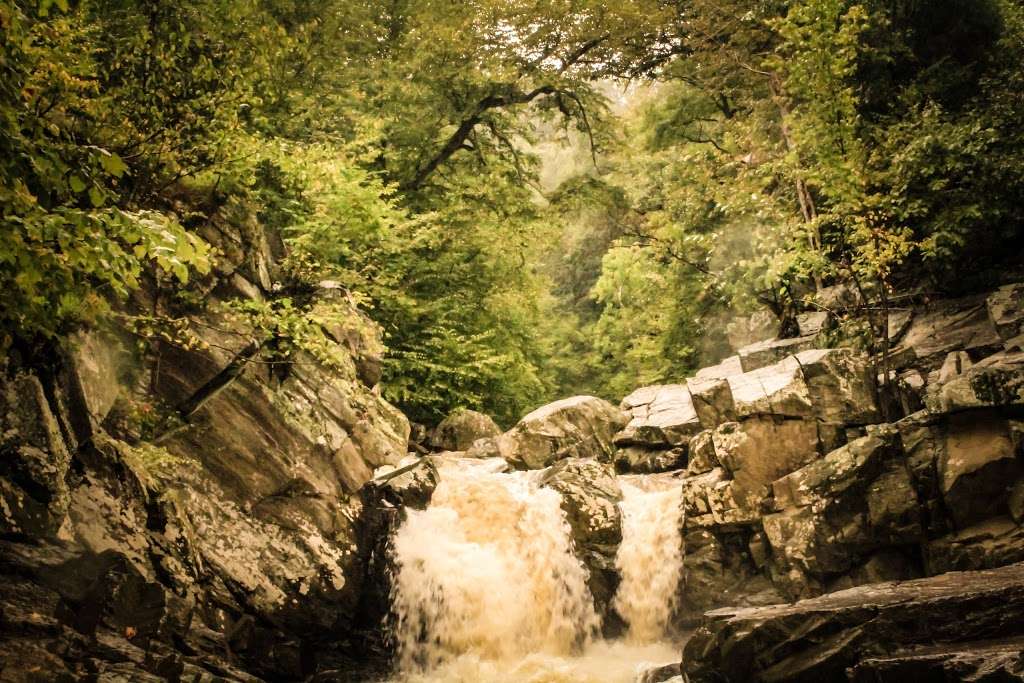 Scotts Run Stream Valley Park | McLean, VA 22102, USA