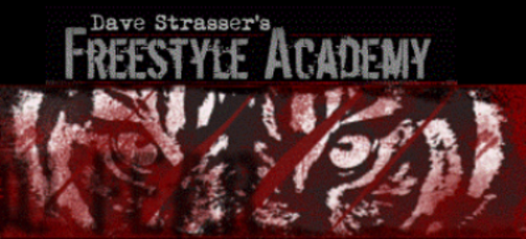 Dave Strassers Freestyle Academy of MMA | 125 Cory Ave, Waukegan, IL 60085, USA | Phone: (224) 572-8605