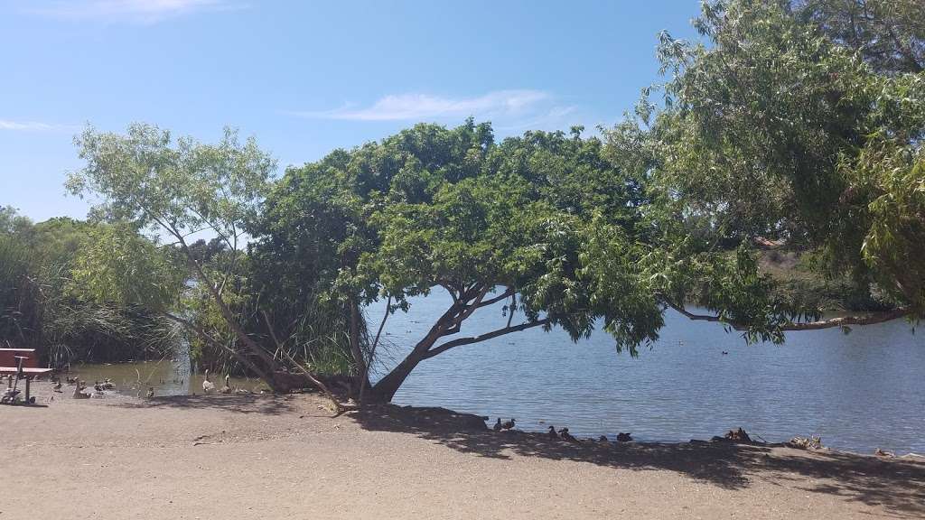 Guajome Park Lower Picnic Area | Oceanside, CA 92056, USA