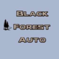 Black Forest Auto | 1100 W Bridge St, Phoenixville, PA 19460, USA | Phone: (610) 935-7071