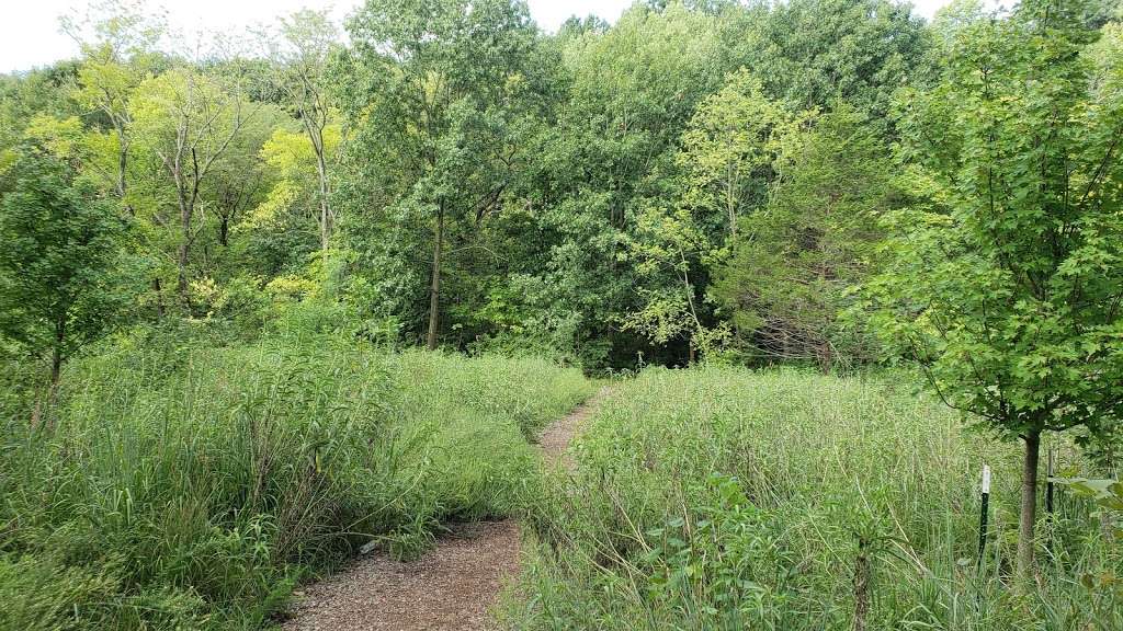 Winterset Park Nature Area | 700 SW Pryor Rd, Lees Summit, MO 64081, USA | Phone: (816) 969-1500