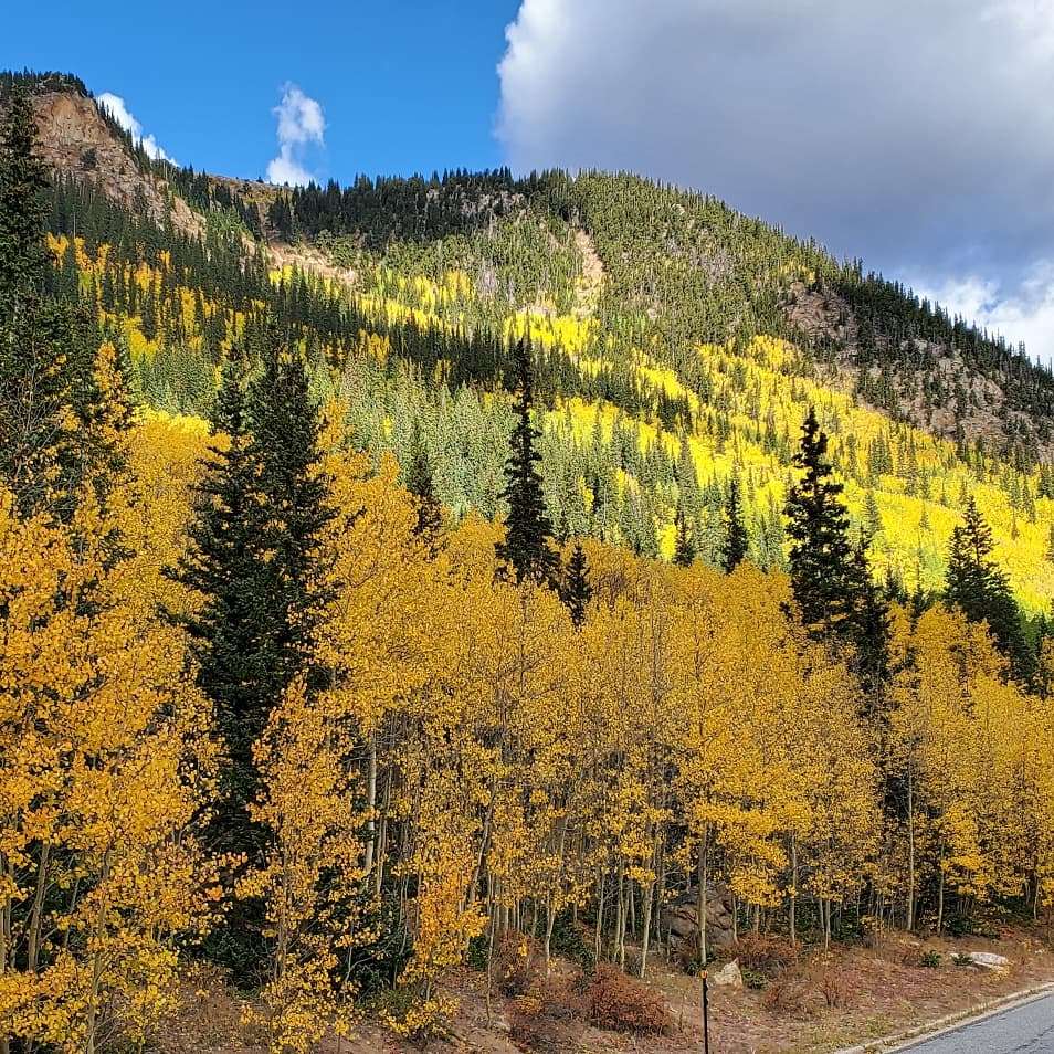 Guanella Pass Trailhead | Guanella Pass Rd, Idaho Springs, CO 80452, USA | Phone: (970) 295-6710