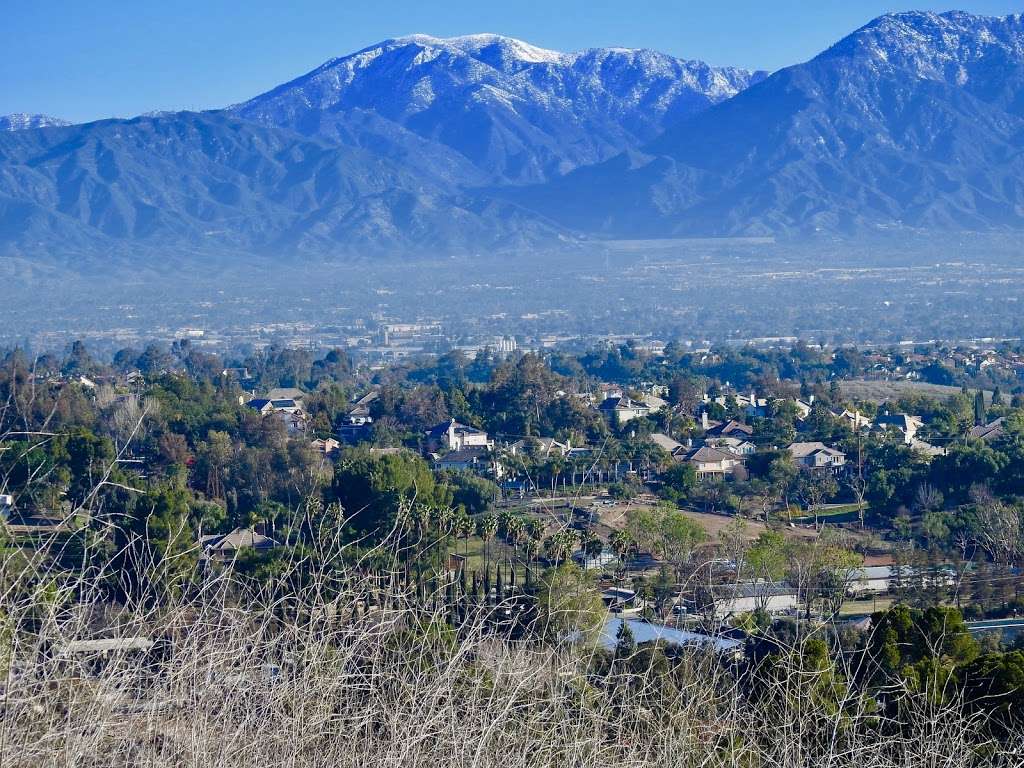 Eucalyptus Trail Loop | Chino Hills, CA 91709, USA