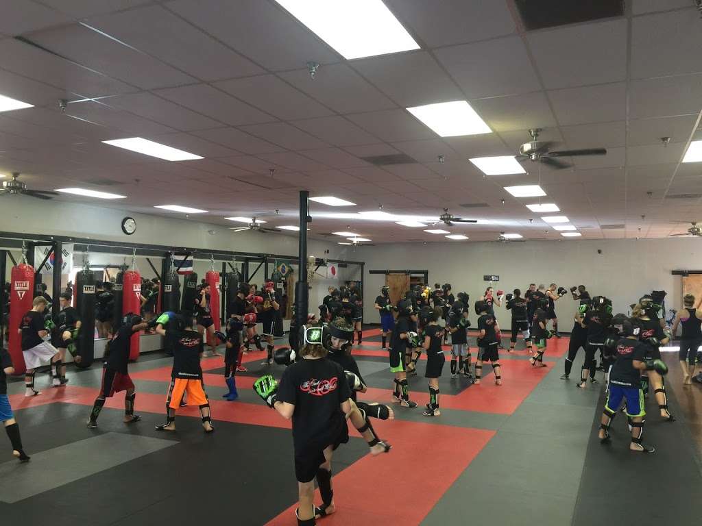 Chandler MMA | 5955 W Ray Rd #16, Chandler, AZ 85226, USA | Phone: (480) 234-3683